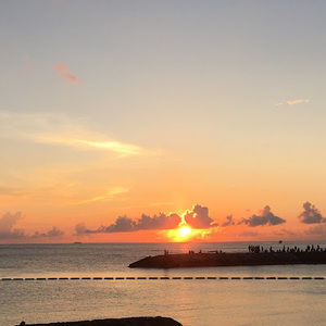 Meet your Posher, Choco